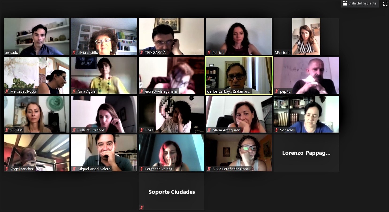 Reunión telemática Comisión Cultura Grupo GCPHE
