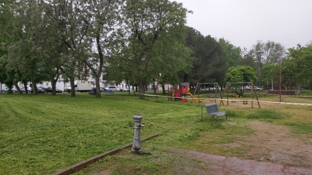 Trabajos de desbroce