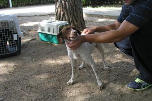 Centro Zoosanitario de Mérida