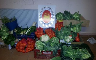 La Policía Local incauta frutas y verduras de venta ambulante en La Antigua