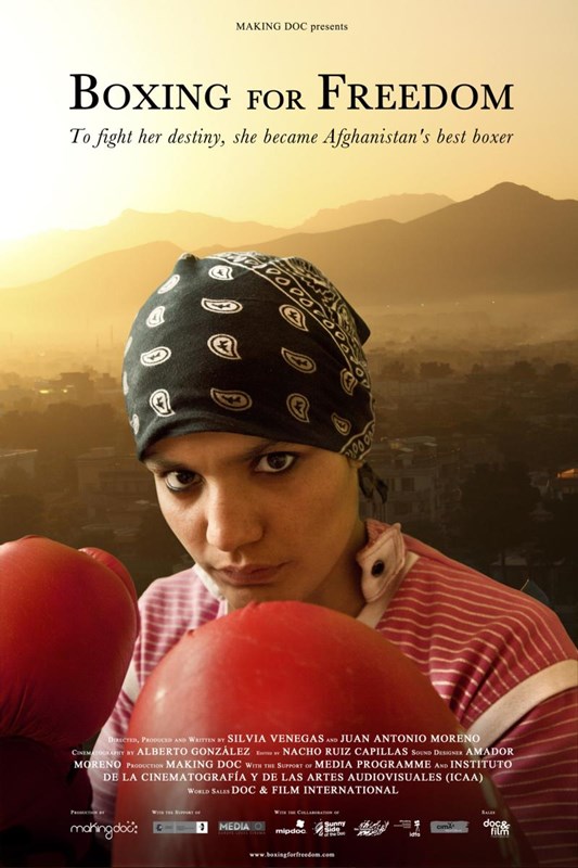 boxing-for-freedom-cartel