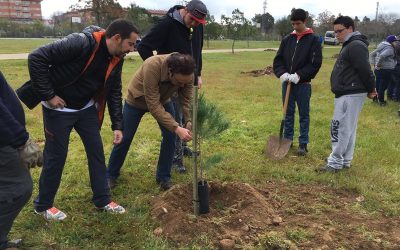 La campaña ‘Planta tu árbol’  finaliza con 440 nuevos ejemplares en el Guadiana
