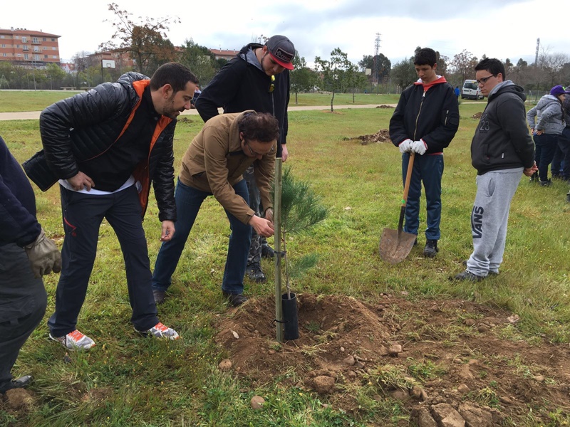 La campaña ‘Planta tu árbol’  finaliza con 440 nuevos ejemplares en el Guadiana