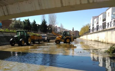 Mañana finalizará la limpieza del cauce del Albarregas