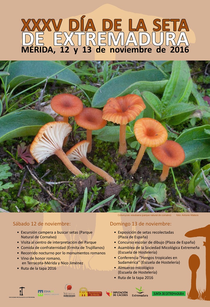 dia-de-la-seta-cartel