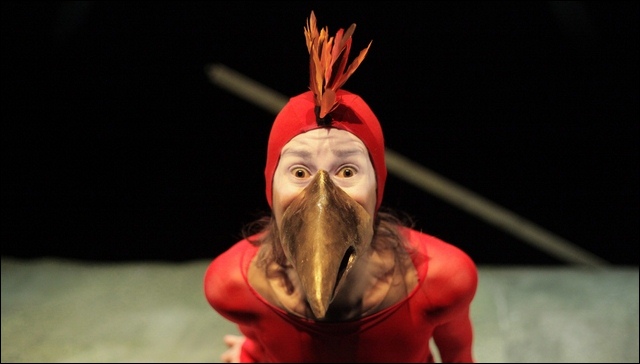 pajaro-prodigioso-peq