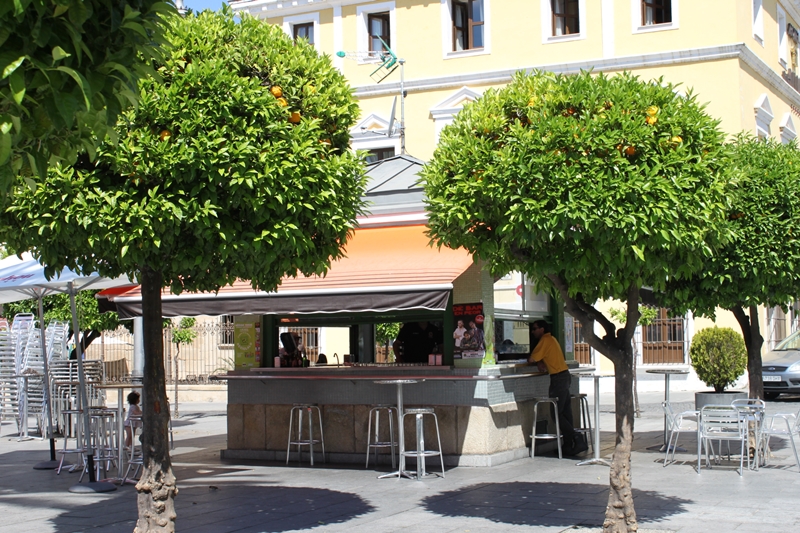 Plaza de España, 9 de mayo 2014 014