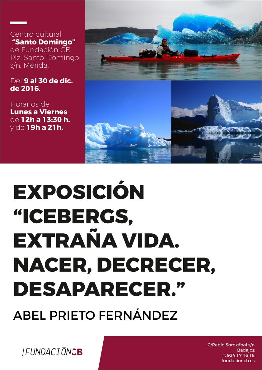 expo-icebergs-cartel