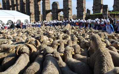 Mérida homenajea a los pastores trashumantes el año de la Capitalidad Iberoamericana de la Cultura Gastronómica