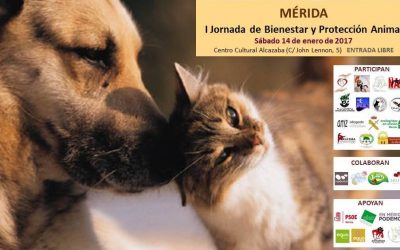 I Jornada de bienestar y protección animal de Mérida