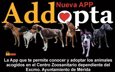 Mérida cuenta ya con una app para posibilitar la adopción de animales del Centro Zoosanitario