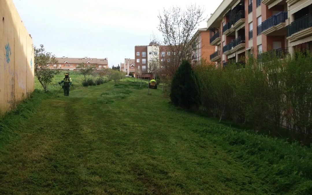 Parques y Jardines establece un plan de desbroces y podas en una primera fase de la primavera