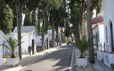 El Ayuntamiento y la OTAEX inician los trabajos previos para la accesibilidad del cementerio