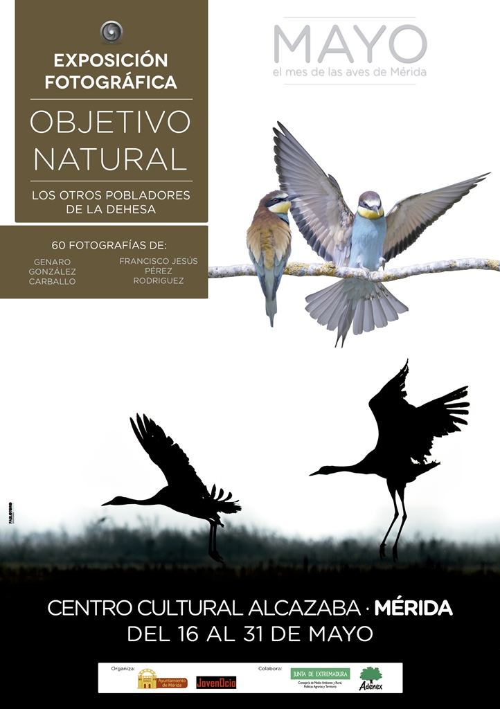 expo-aves-cartel