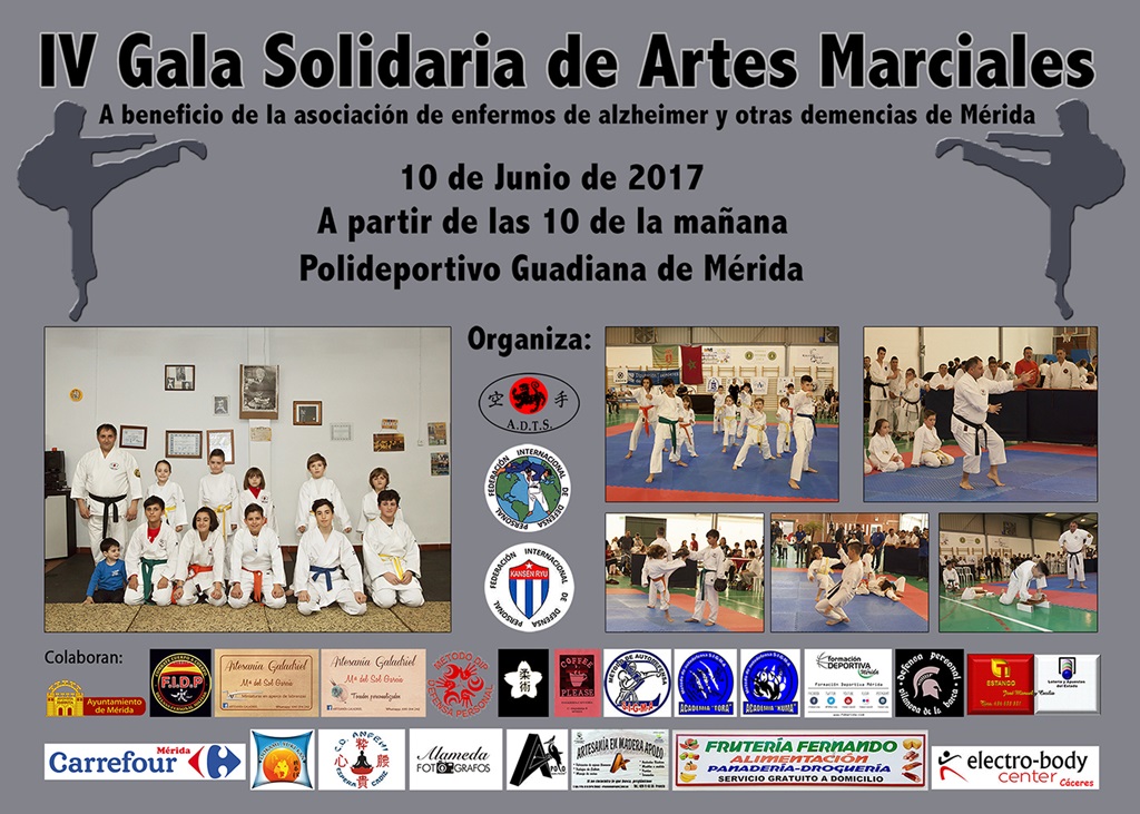 gala-solidaria-artes-marciales-cartel