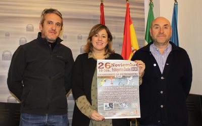 El domingo se celebra en el Pabellón Diocles el Campeonato de Extremadura de Aeromodelismo F3-P