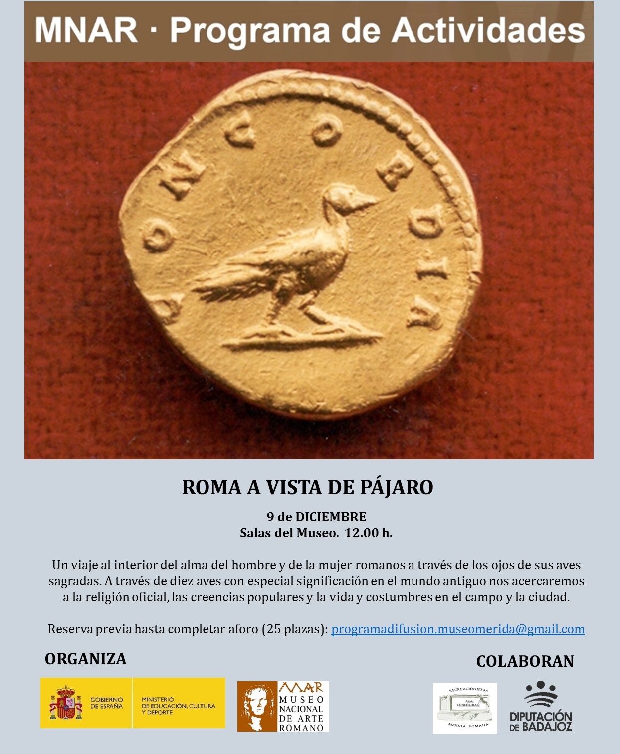 museo-a-vista-de-pajaro