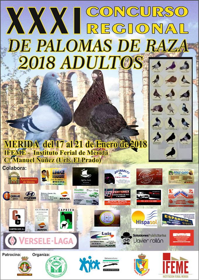 palomas-raza-cartel