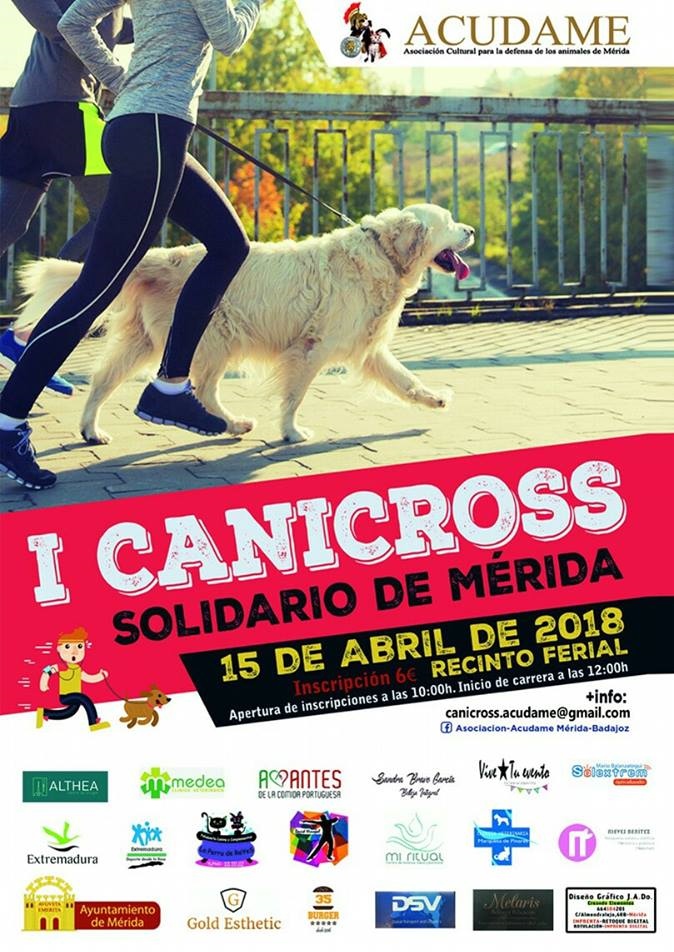 i-canicross-cartel