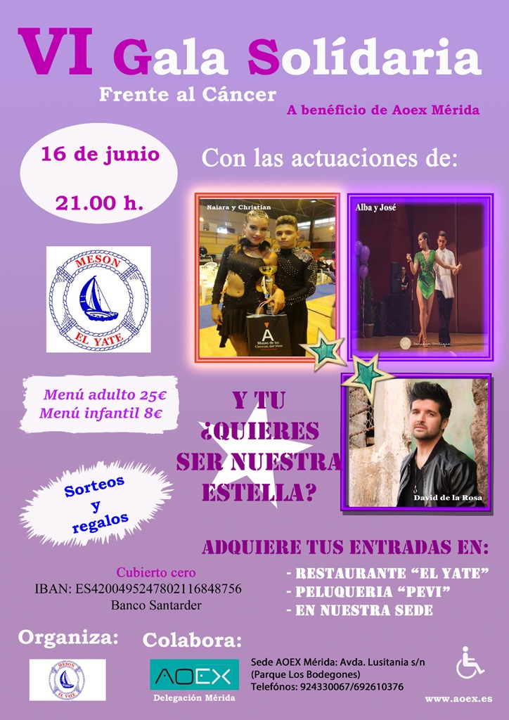 gala-solidaria-aoex-cartel