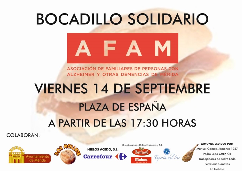 mercadillo-solidario-afam-merida-cartel