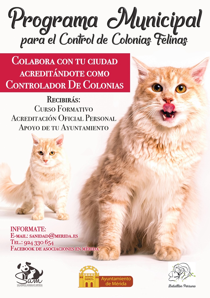 control-colonias-felinas-cartel