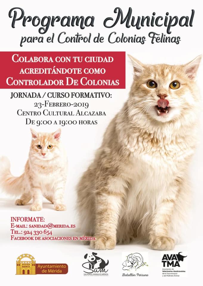 curso-formativo-control-felino-cartel