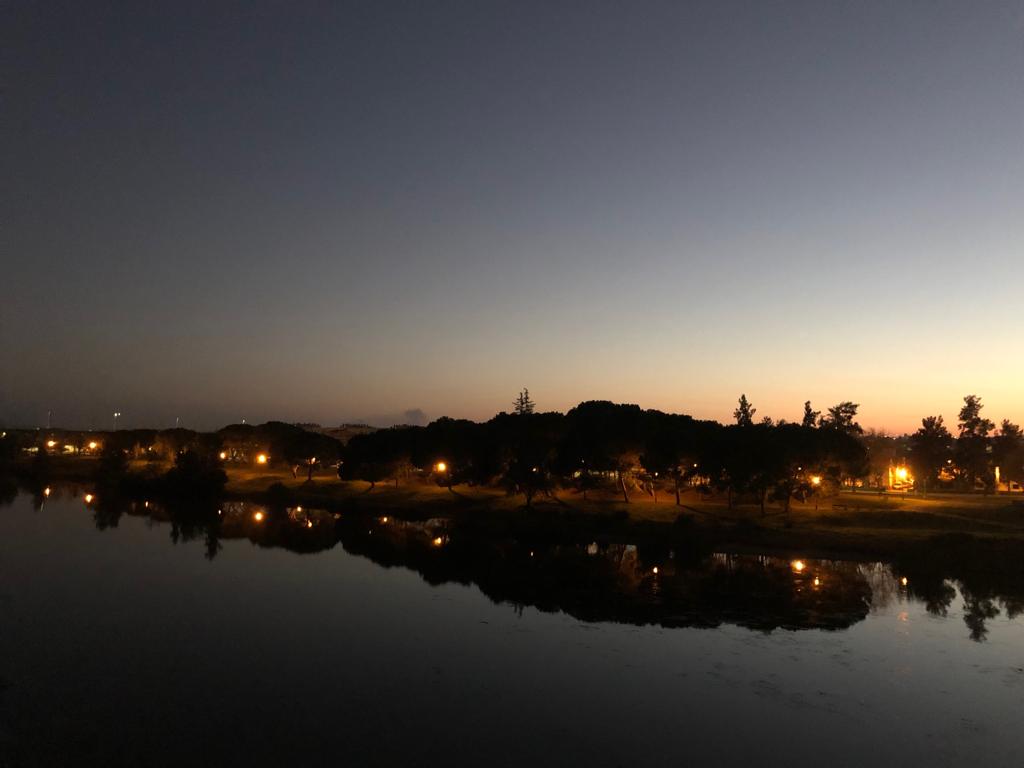 iluminacion-san-antonio01