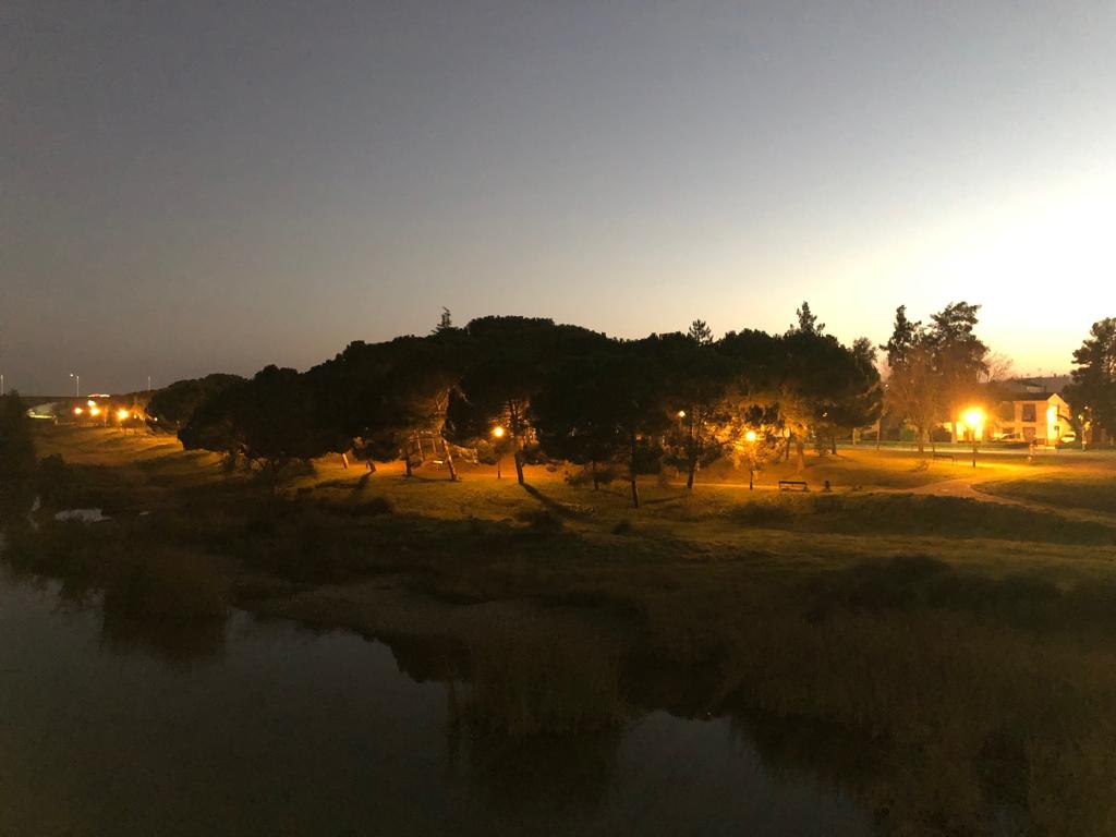 iluminacion-san-antonio02