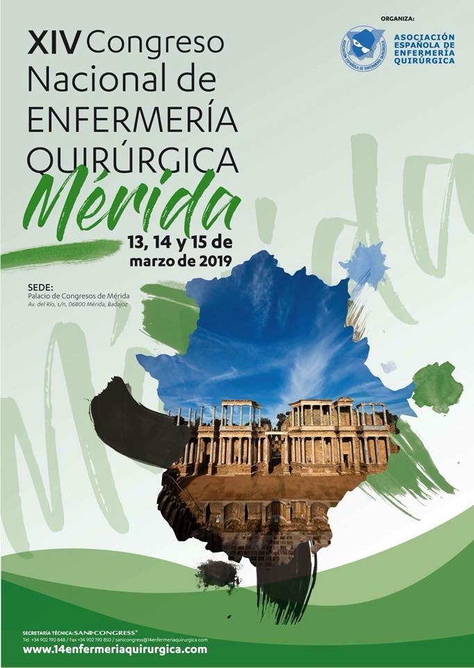 congreso-nacional-enfermeria-cartel