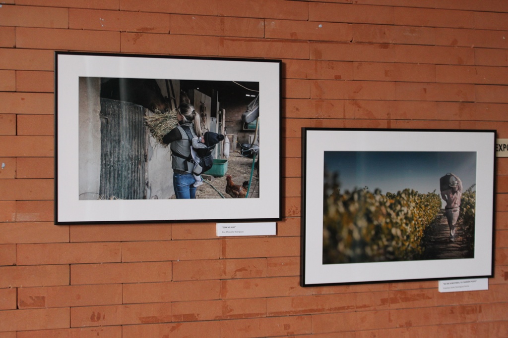 ana-exposicion-igualdad05