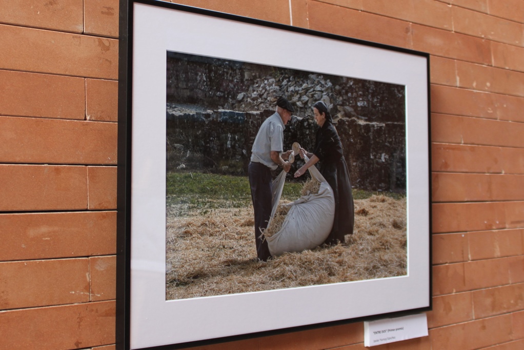 ana-exposicion-igualdad08