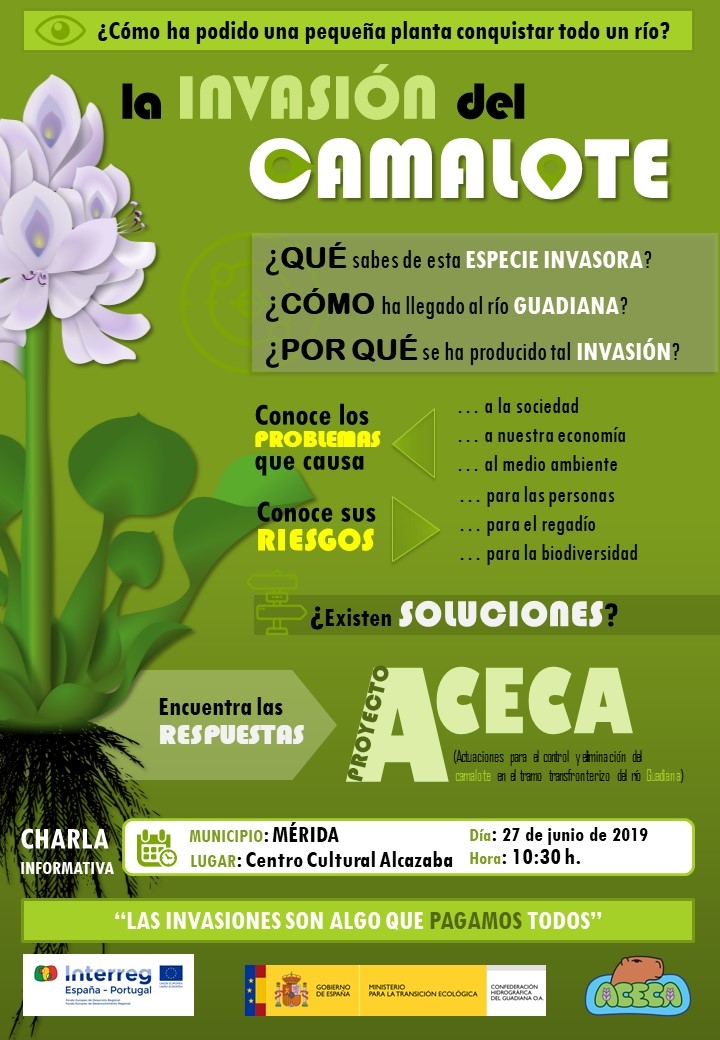 camalote-cartel