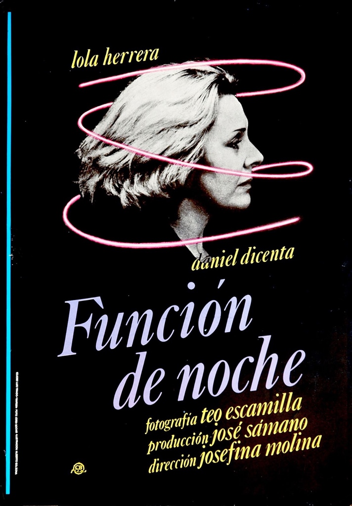 funcion-noche-cartel