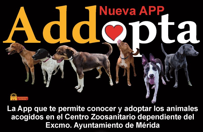 El Ayuntamiento recuerda que existe una App para la adopción de perros del Centro Zoosanitario