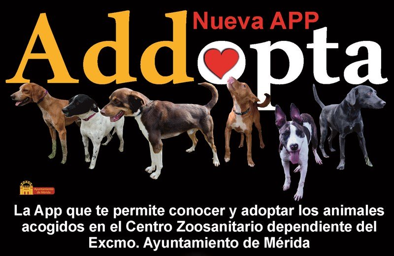 app-adopta-cartel