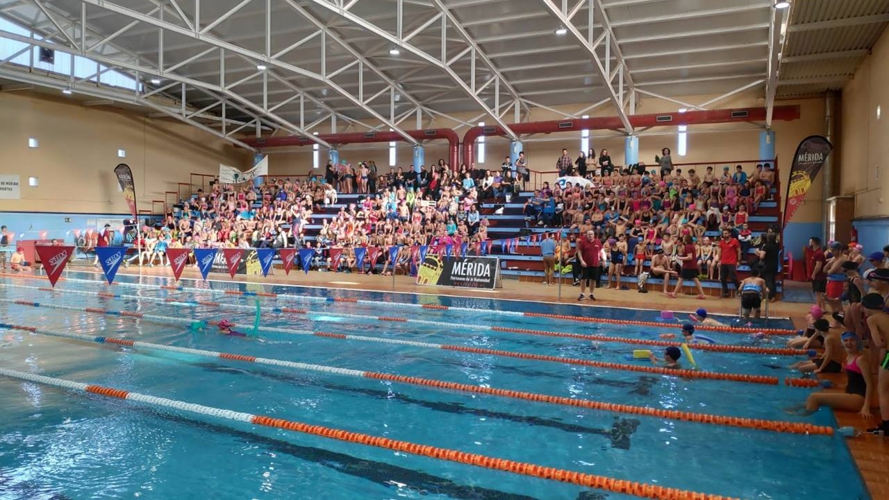 Quince centros educativos participarán en la Yincana Escolar en la piscina climatizada de La Argentina