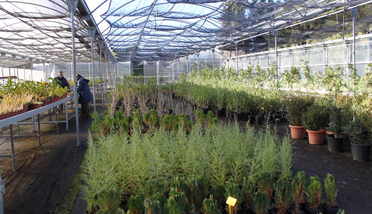 Se reanuda la actividad presencial en el Centro Ocupacional Proserpina