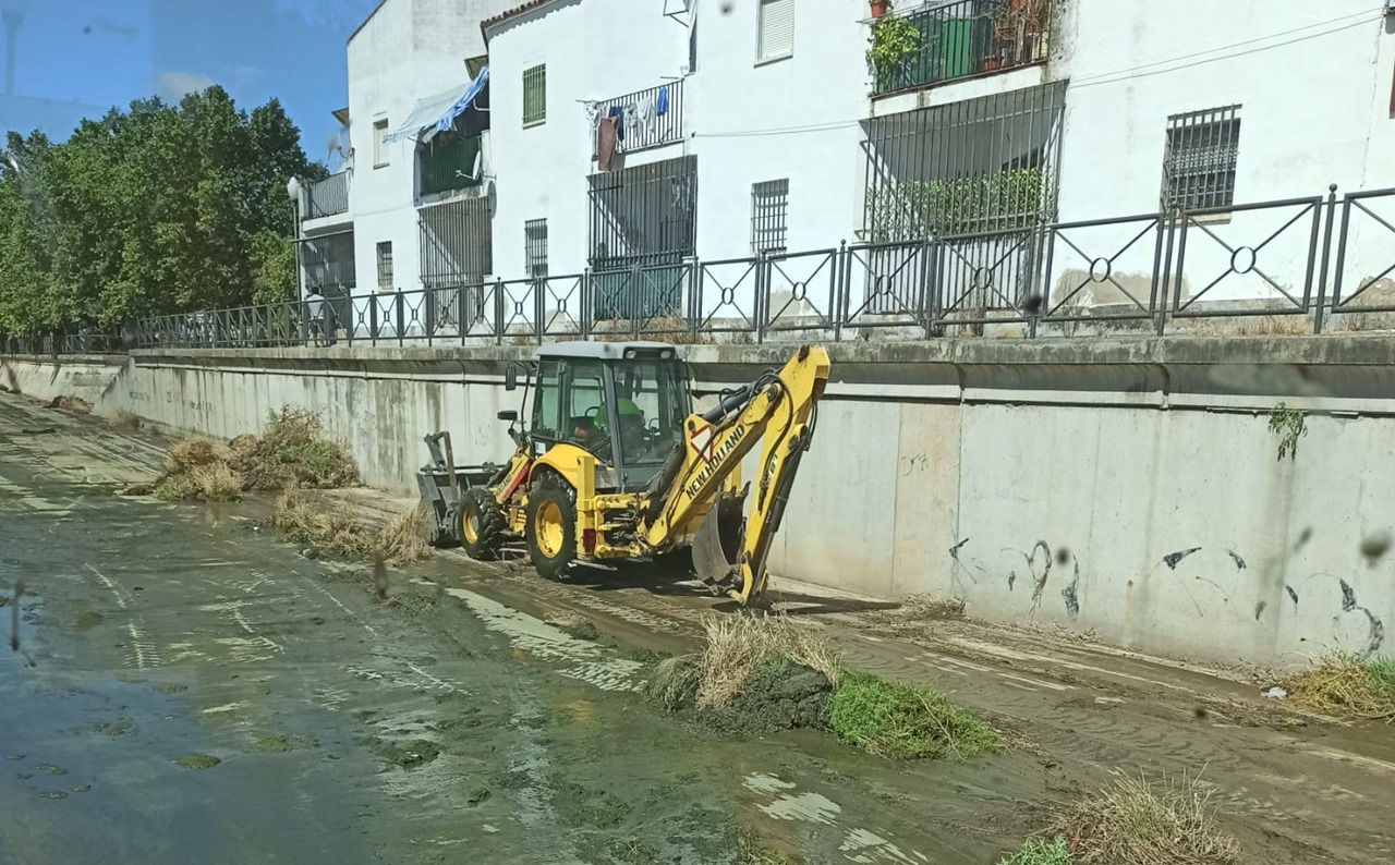 El Ayuntamiento realiza esta semana las tareas de limpieza en el cauce del Río Albarregas