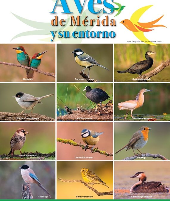Comienzan las actividades del "Mes de las Aves" con un observatorio en el Puente Romano y un taller de ornitología