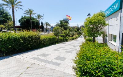 Parques y Jardines pretende renovar algunas zonas verdes de la ciudad con una subvención del proyecto AEPSA 2021