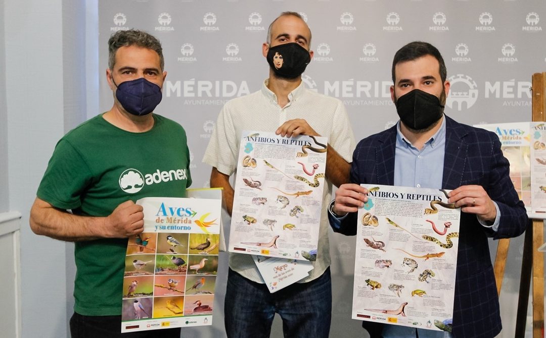 El 'Mes de las Aves' retoma sus actividades con talleres, encuentros para escolares y observatorios en el Puente Romano y el Acueducto de Los Milagros