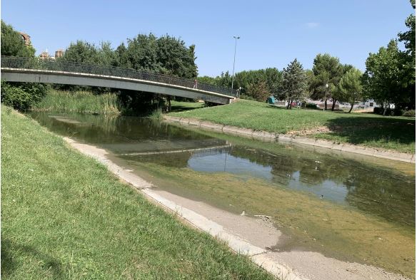 El Ayuntamiento publica el contrato para la limpieza del cauce del río Albarregas
