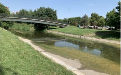 El Ayuntamiento publica el contrato para la limpieza del cauce del río Albarregas