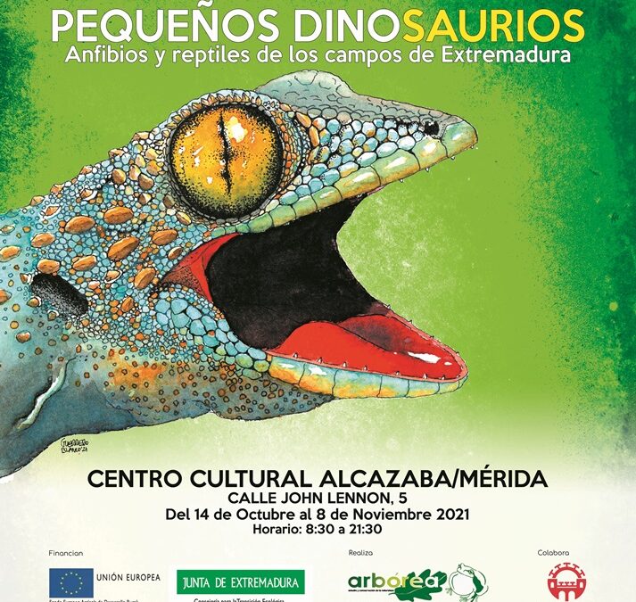 La muestra «Pequeños dinosaurios: anfibios y reptiles», en el Centro Cultural Alcazaba