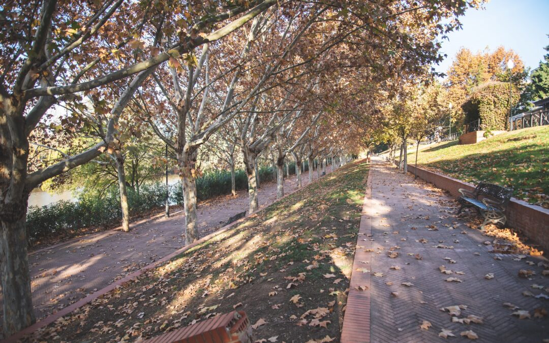 Licitado el contrato para sustituir las 637 luminarias de los márgenes del Guadiana, Albarregas y camino perimetral de Proserpina por tecnología LED