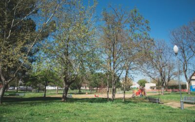 El ayuntamiento aprueba la renovación de parques infantiles y la creación de una nueva área biosaludable para nuestros mayores en la ciudad