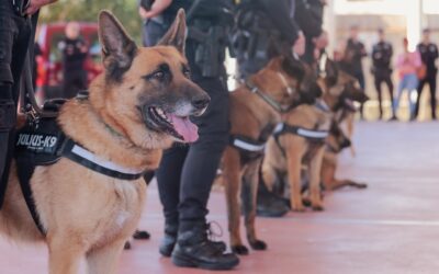 La Unidad Canina de la Policía Local participará en controles de drogas y alcoholemia, además de otros siniestros