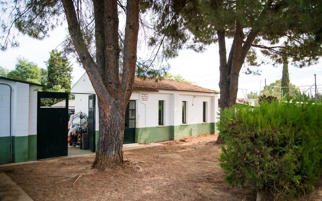 El Ayuntamiento ampliará el Centro Zoosanitario para albergar catorce nuevos cheniles