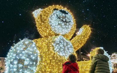 La fotografía “Hola osito” de Manuel Hernández López, de Puebla de la Calzada, anunciará la Navidad en Mérida 2023/24